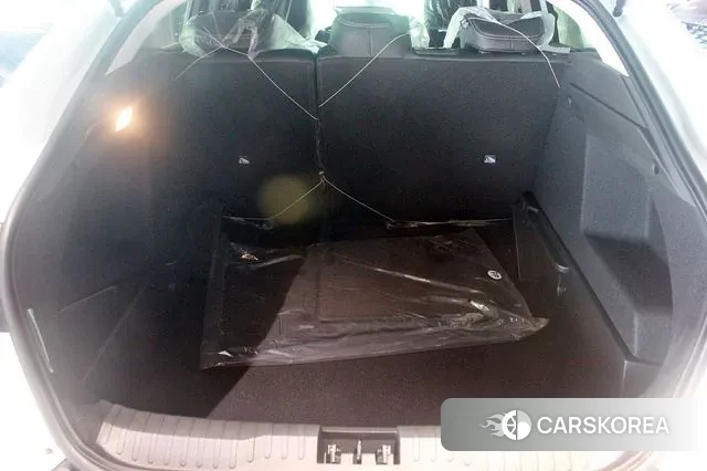 Renault Korea (Samsung) Arcana id 3206588 из Кореи 19