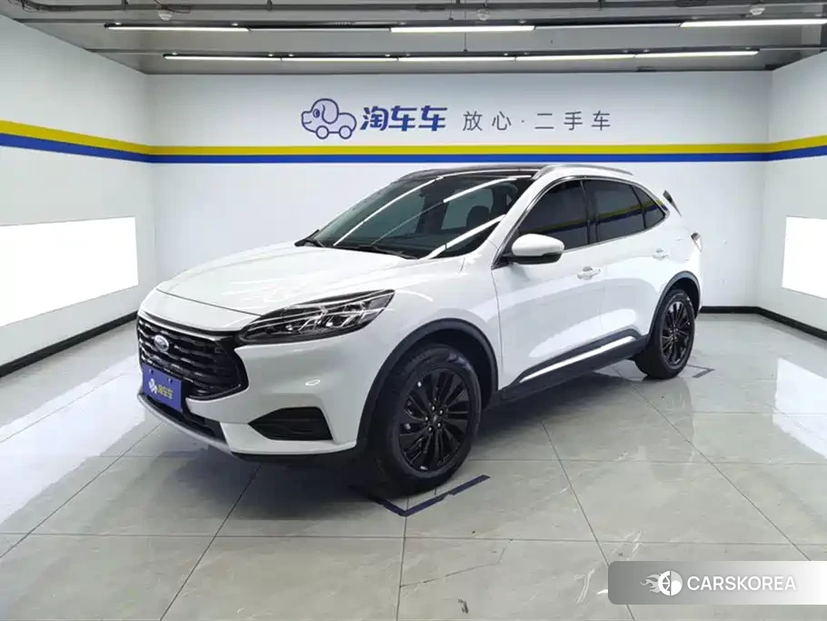 Ford Ruiji id 4545599 из Китая 15
