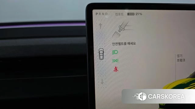 Tesla Model 3 id 3902620 из Кореи 19