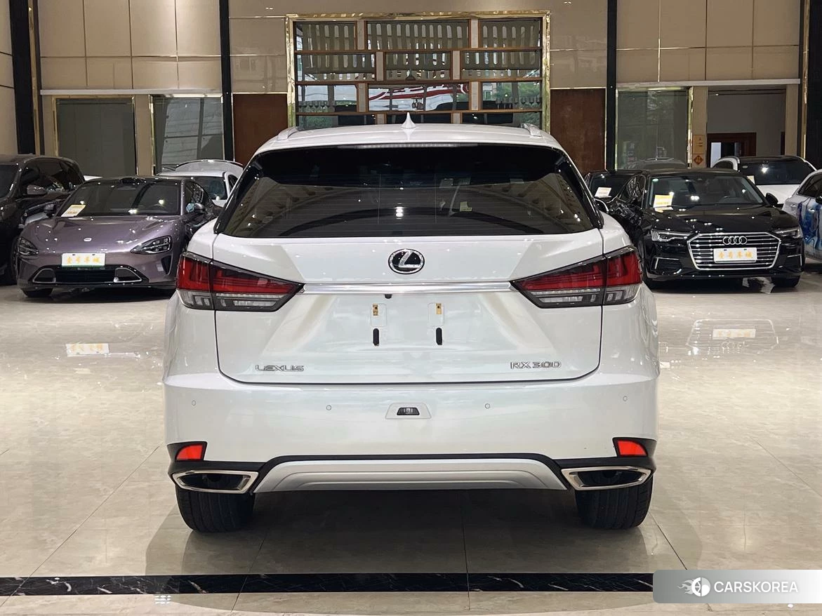 Lexus RX id 4420838 из Китая 27