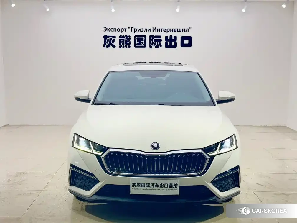 Skoda Octavia id 4570755 из Китая 17