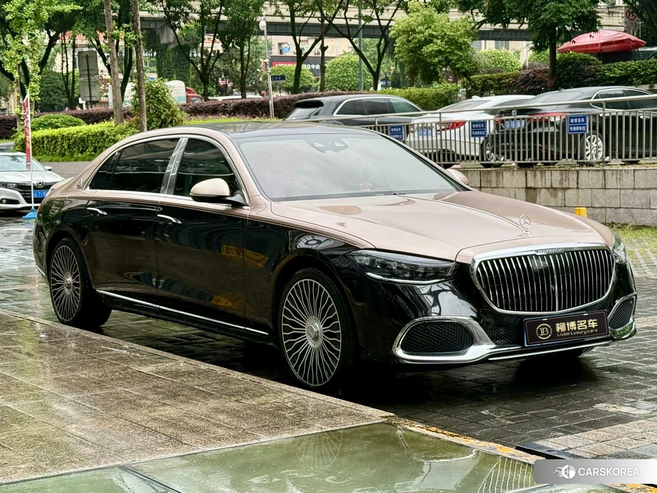 Mercedes-Benz Maybach S-class id 4512438 из Китая 16