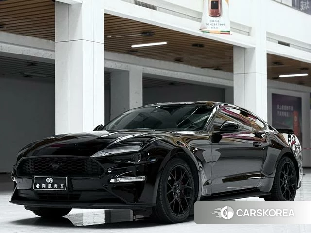Ford Mustang id 4211711 из Китая 9