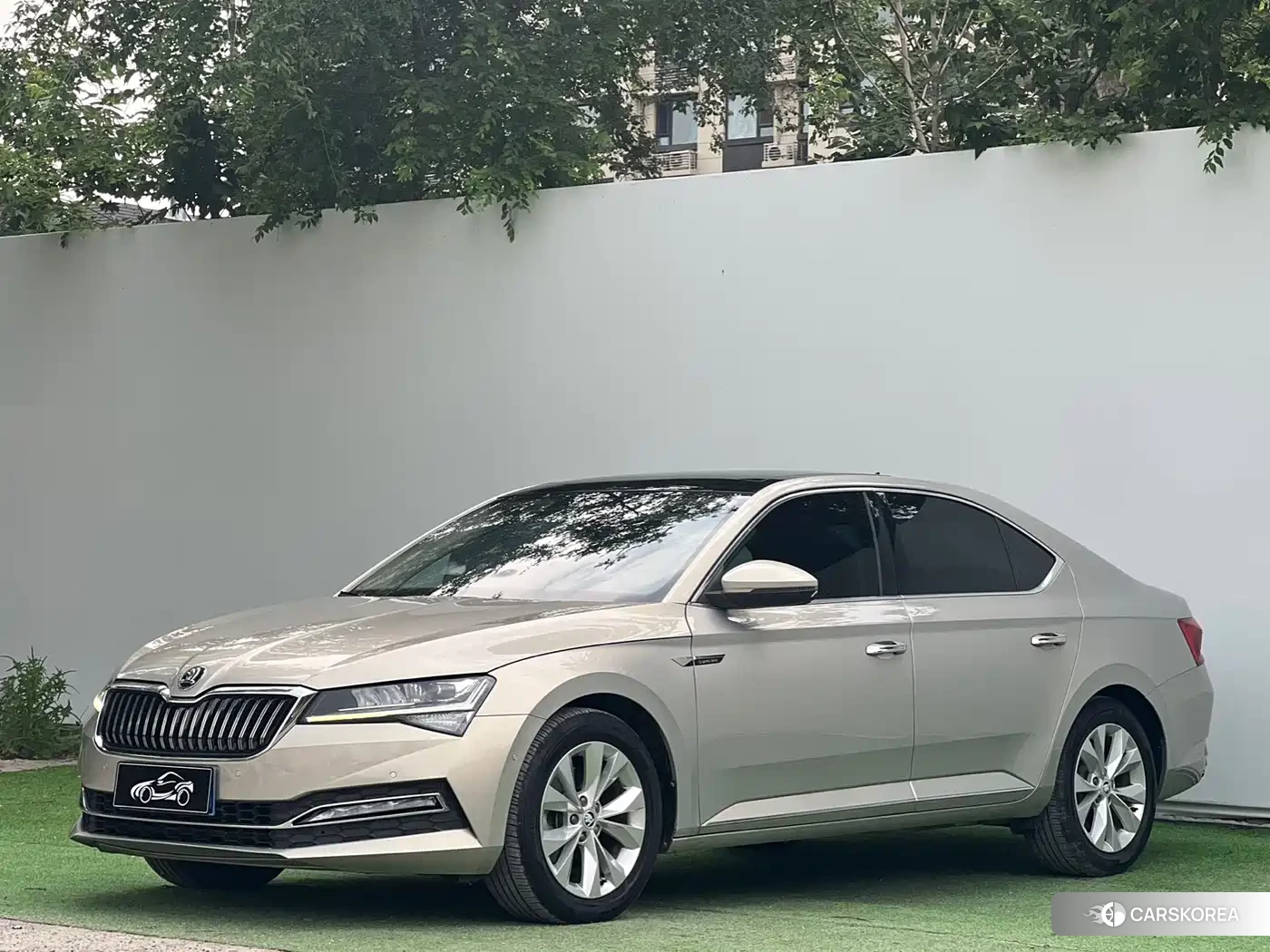 Skoda Speed pie id 4576410 из Китая 9