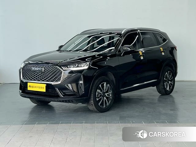 Haval H6 id 4253401 из Китая 19