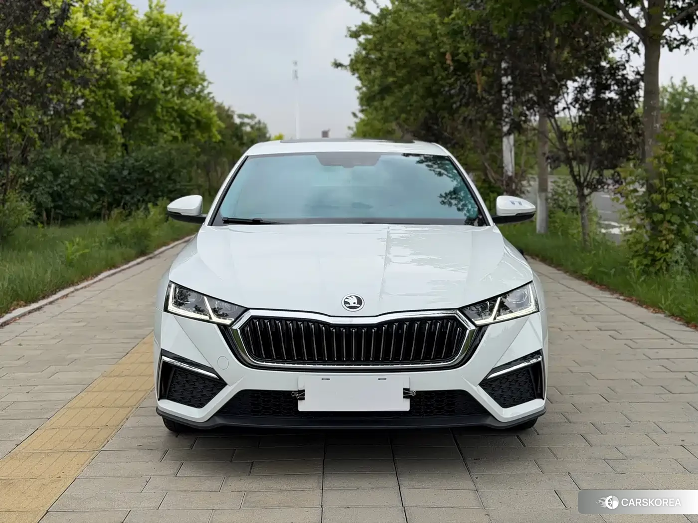 Skoda Octavia id 4570640 из Китая 21