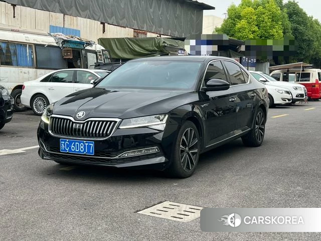 Skoda Speed pie id 4368108 из Китая 9