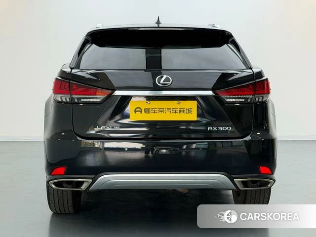 Lexus RX id 4392138 из Китая 19