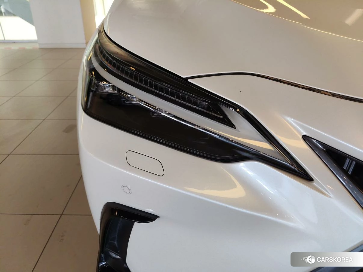 Lexus NX PHEV id 4498690 из Китая 33