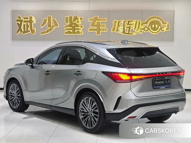 Lexus RX id 4359606 из Китая 11