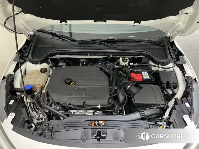 Ford Fox id 4393335 из Китая 13