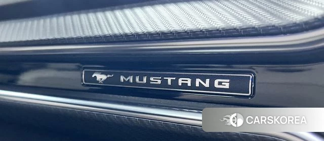Ford Mustang id 4209132 из Китая 29
