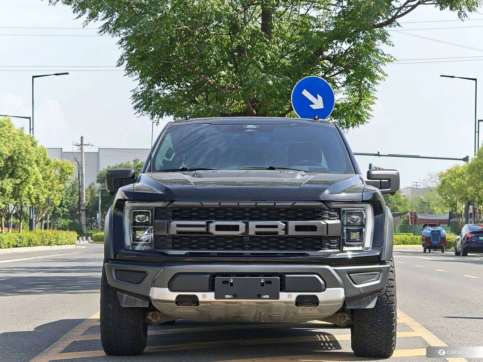 Ford F-150 Raptor id 4405776 из Китая 10