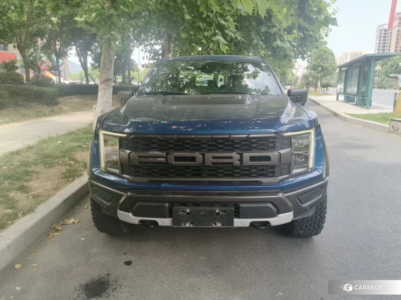 Ford F-150 Raptor id 4455898 из Китая 10