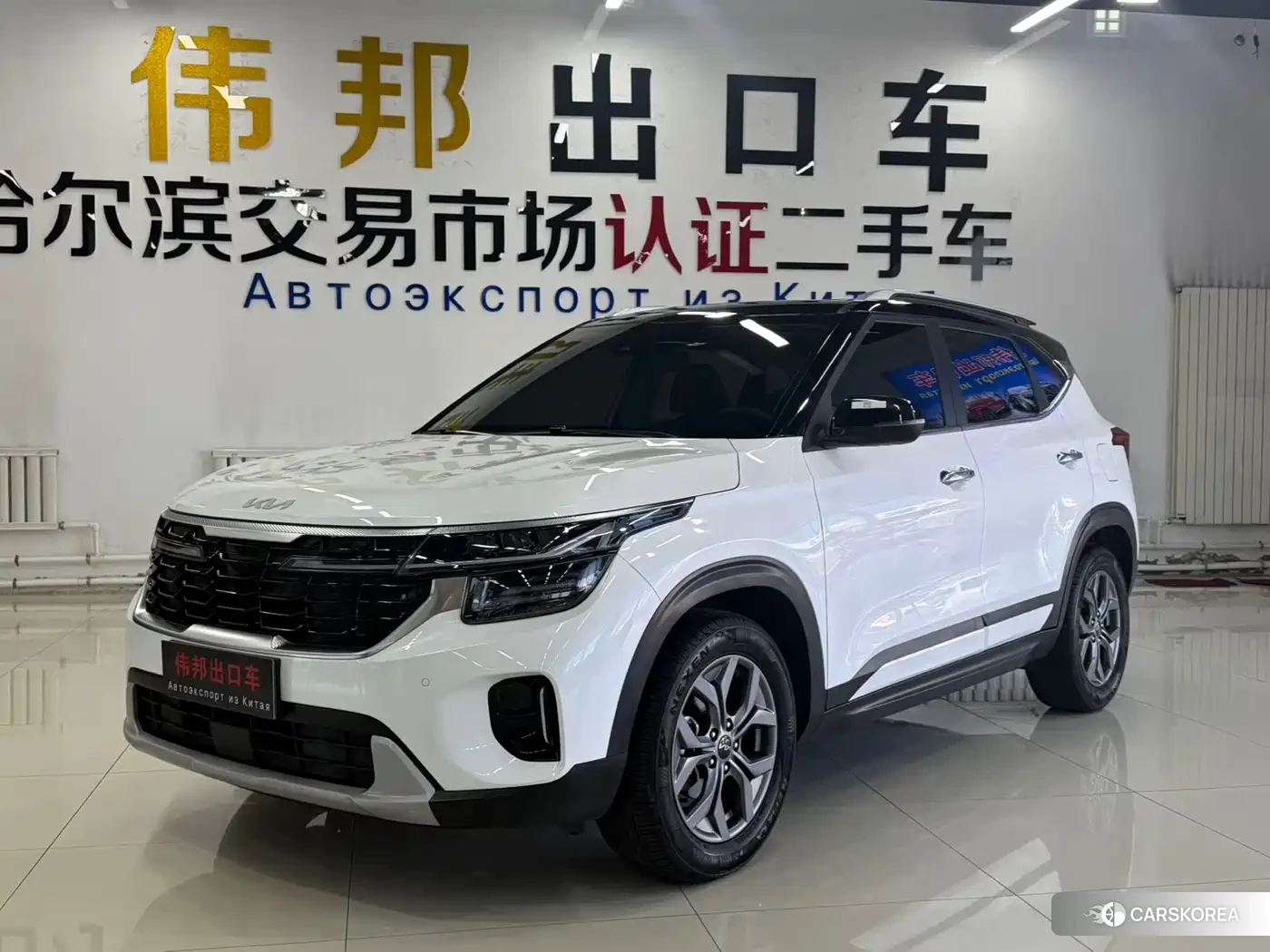 Kia Seltos id 4547474 из Китая 23