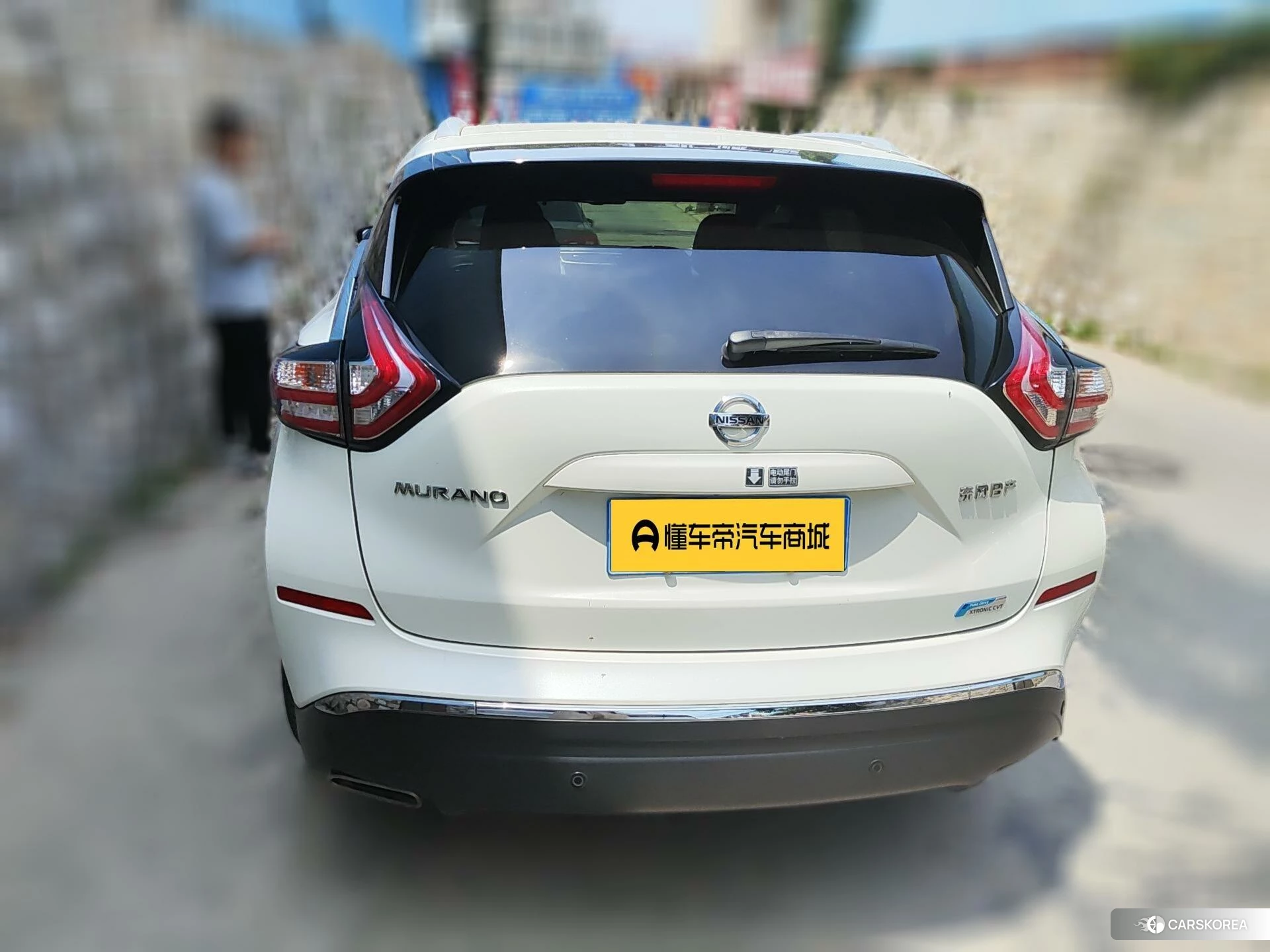 Nissan Loulan id 4513849 из Китая 21