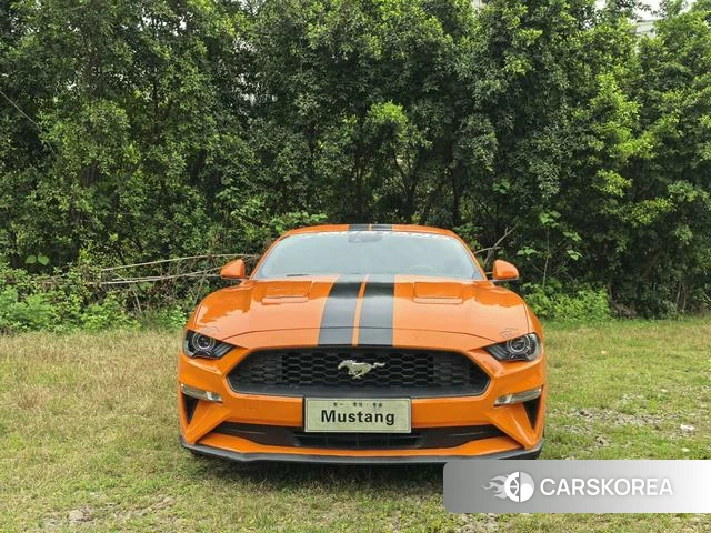 Ford Mustang id 4392267 из Китая 13