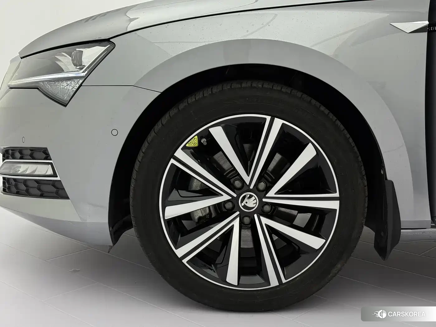 Skoda Speed pie id 4515550 из Китая 25