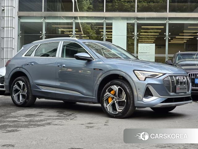 Audi e-tron id 4253714 из Китая 23