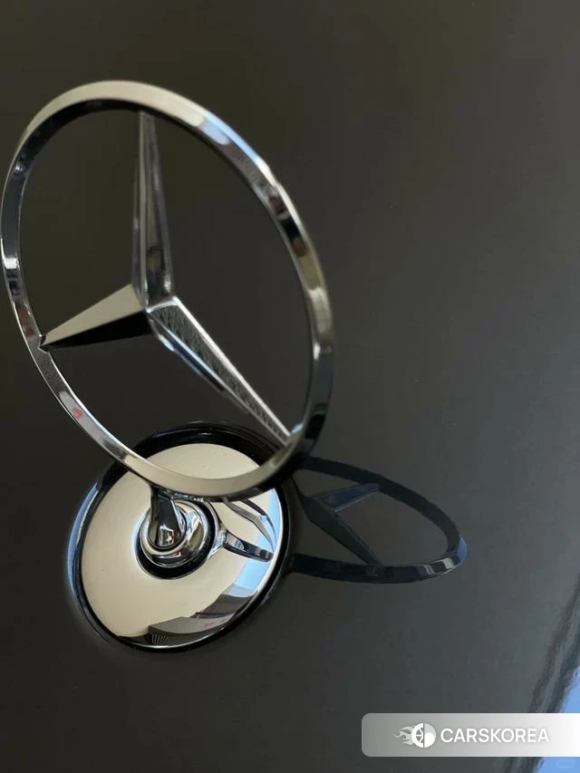 Mercedes-Benz S-class id 4256026 из Китая 12