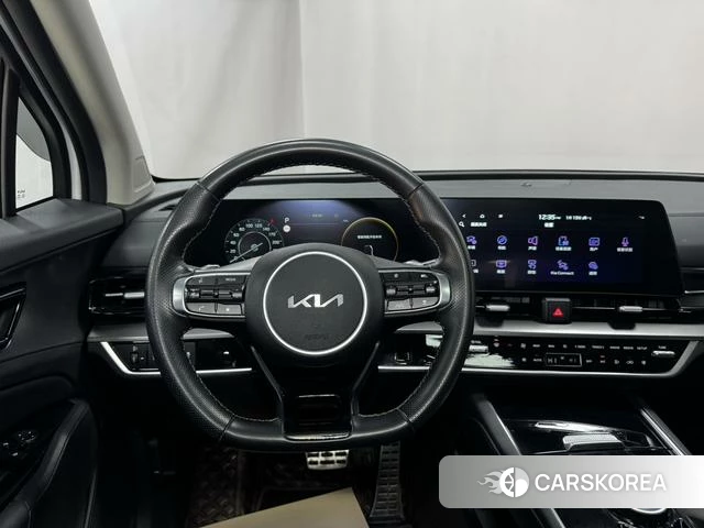 Kia Lion Platinum expands the world id 4209049 из Китая 23