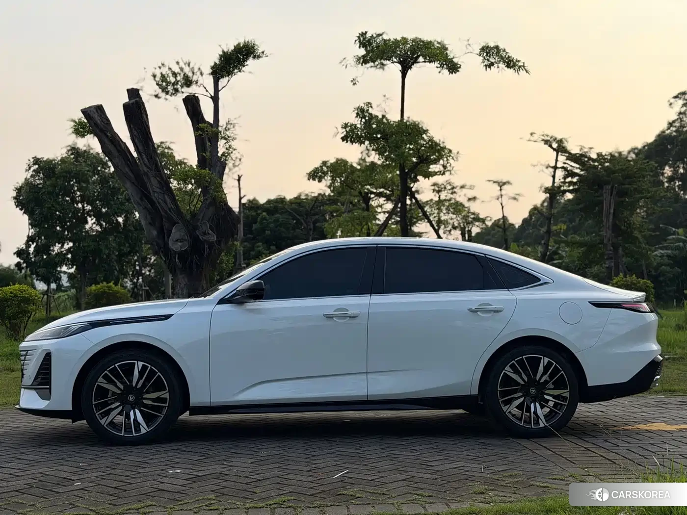 Chang'an Yidong id 4669323 из Китая 17