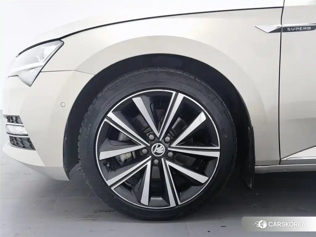 Skoda Speed pie id 4547467 из Китая 24