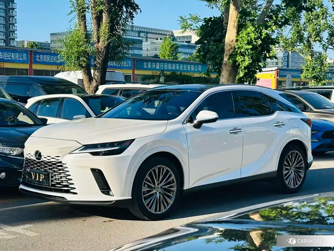 Lexus RX id 4601985 из Китая 28