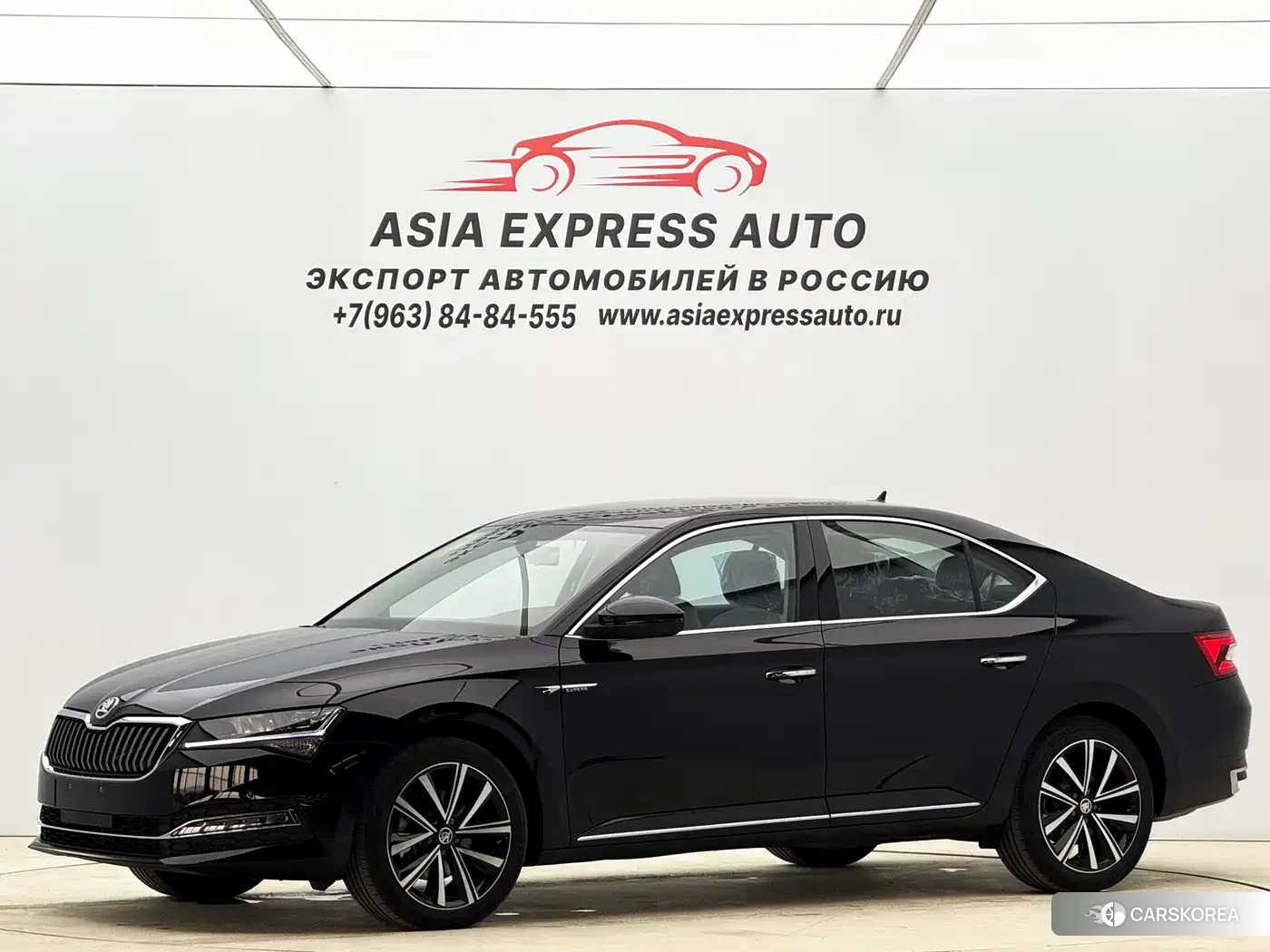 Skoda Speed pie id 4538744 из Китая 21
