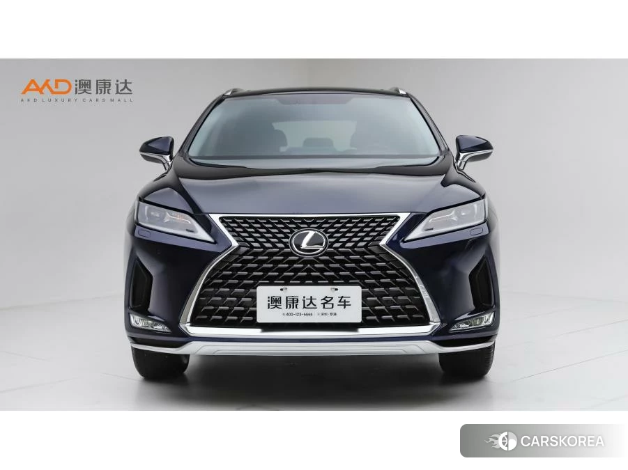 Lexus RX id 4510545 из Китая 10