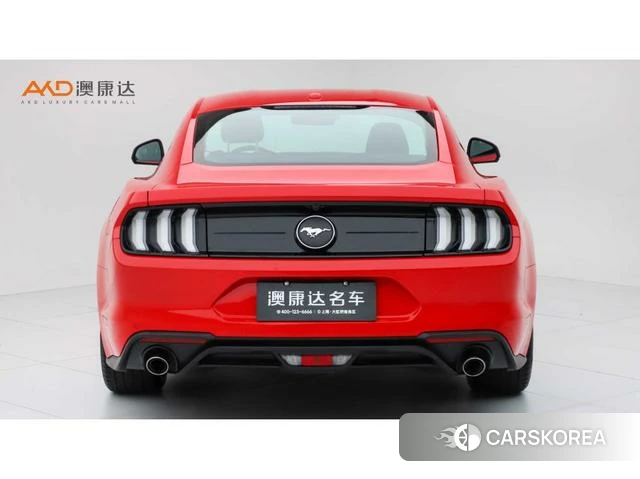 Ford Mustang id 4238534 из Китая 10