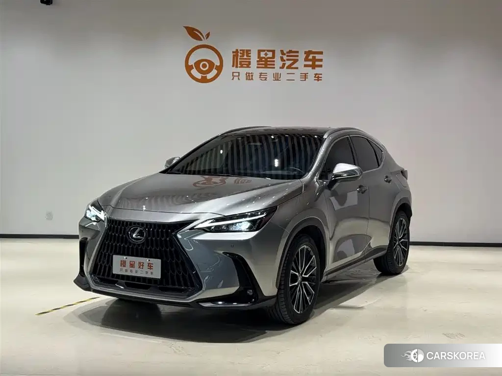 Lexus NX id 4659880 из Китая 16