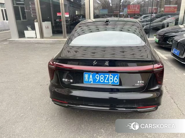 Red flag H5 id 3920402 из Китая 10