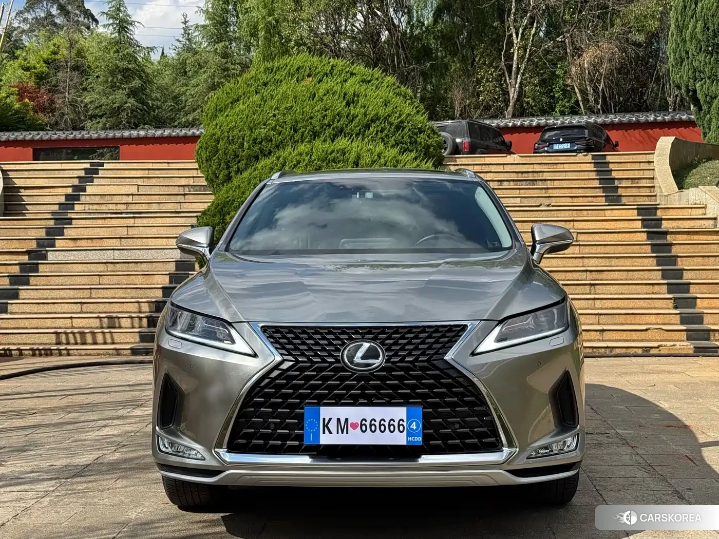 Lexus RX id 4601076 из Китая 21