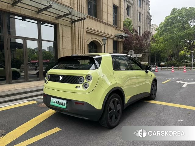 firefly firefly Unknown id 4182512 из Китая 14