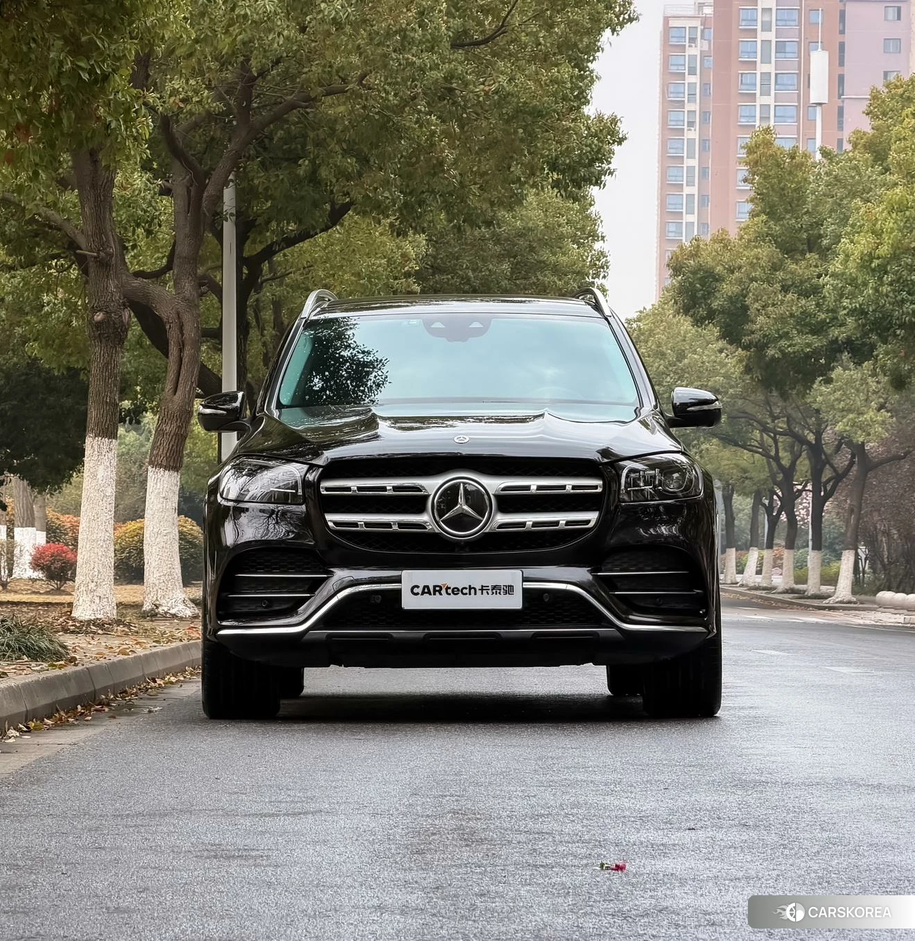 Mercedes-Benz GLS id 4426504 из Китая 24