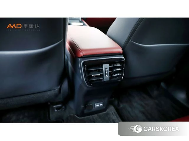 Lexus NX PHEV id 4264504 из Китая 10