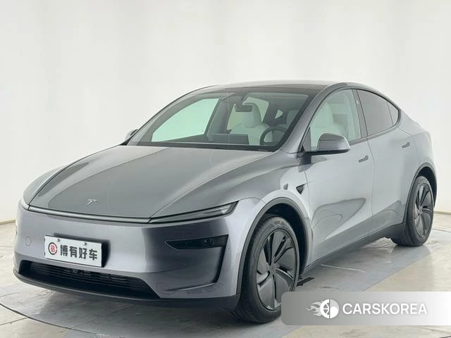 Tesla Model Y id 3920128 из Китая 16