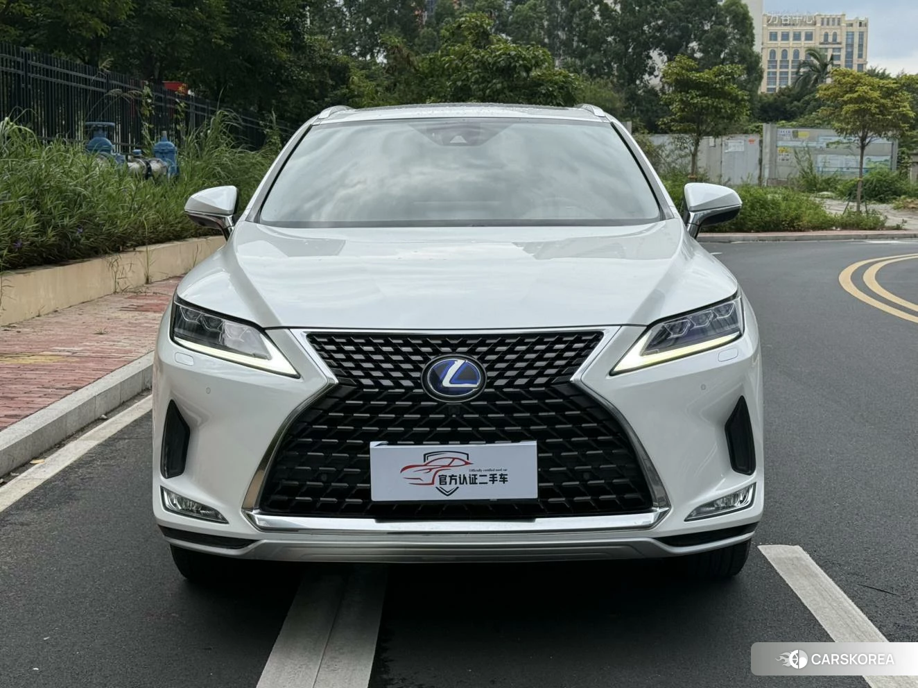 Lexus RX id 4485303 из Китая 22