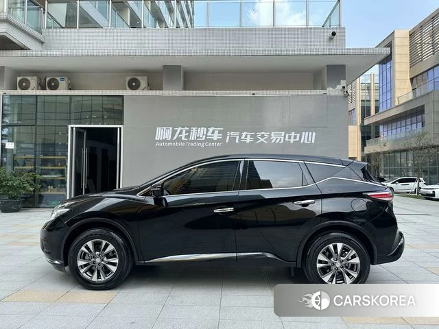 Nissan Loulan id 4220545 из Китая 22