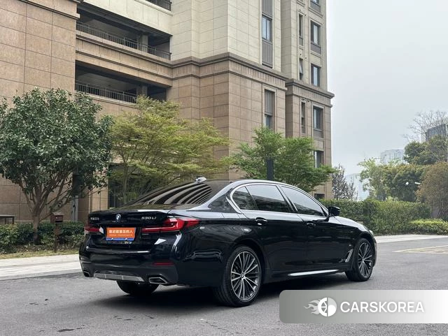 BMW 5 series id 4300100 из Китая 13