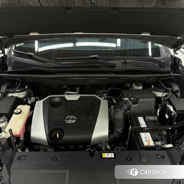 Lexus NX id 4259230 из Китая 24