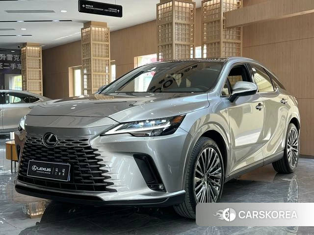 Lexus RX id 3920615 из Китая 18