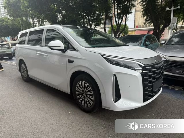 BYD summer id 4253707 из Китая 11