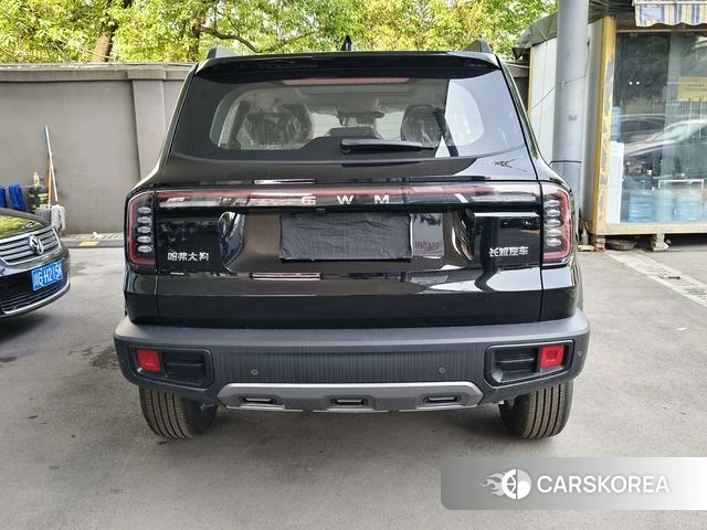 Haval Big dog id 3993373 из Китая 10