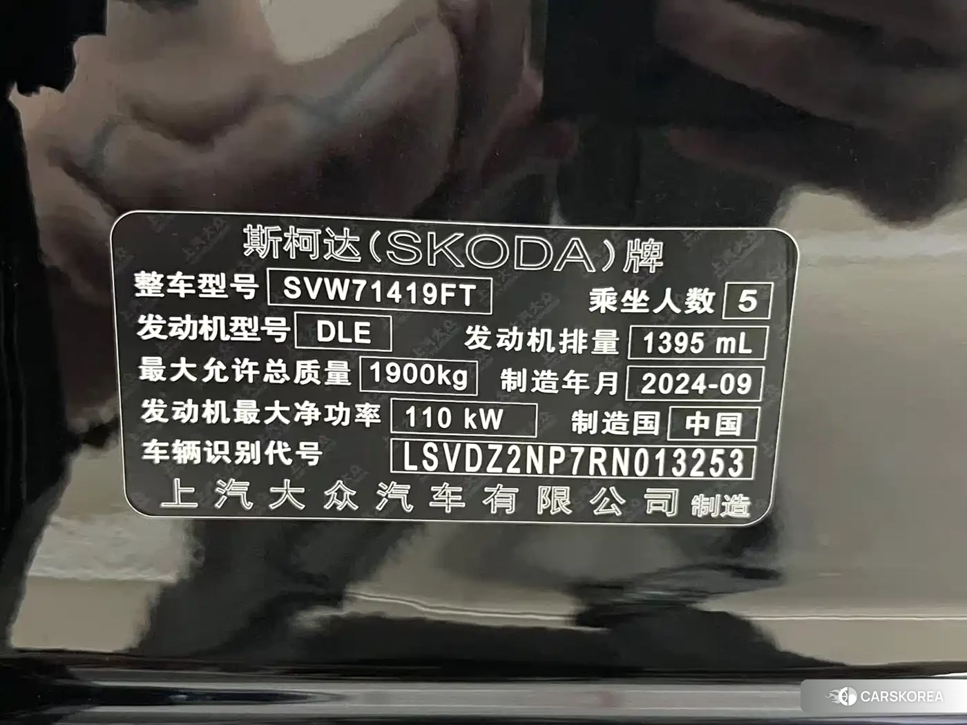 Skoda Speed pie id 4548085 из Китая 22