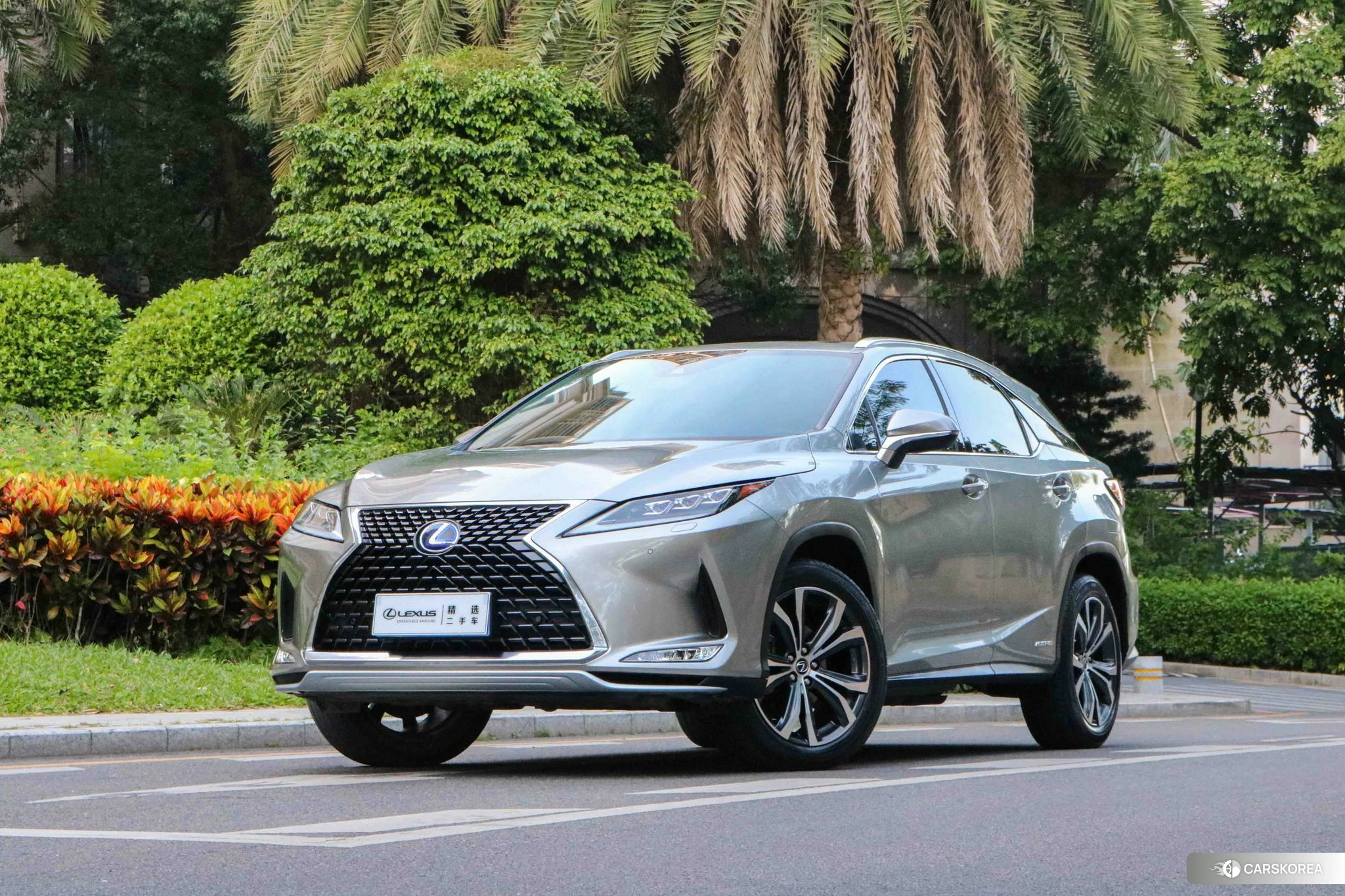 Lexus RX id 4479829 из Китая 12