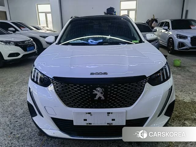 Peugeot 2008 id 3939334 из Китая 11