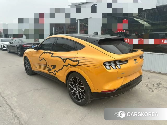 Ford Electric horse id 4374496 из Китая 10