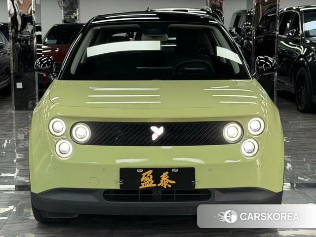 firefly firefly Unknown id 3983286 из Китая 15